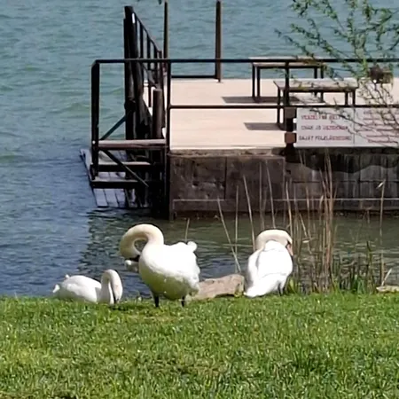 Het Kleine Kasteel Tatil Evi *