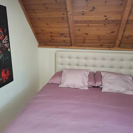 Tatil Evi Het Kleine Kasteel *